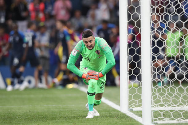 多样化的进 多样化的进