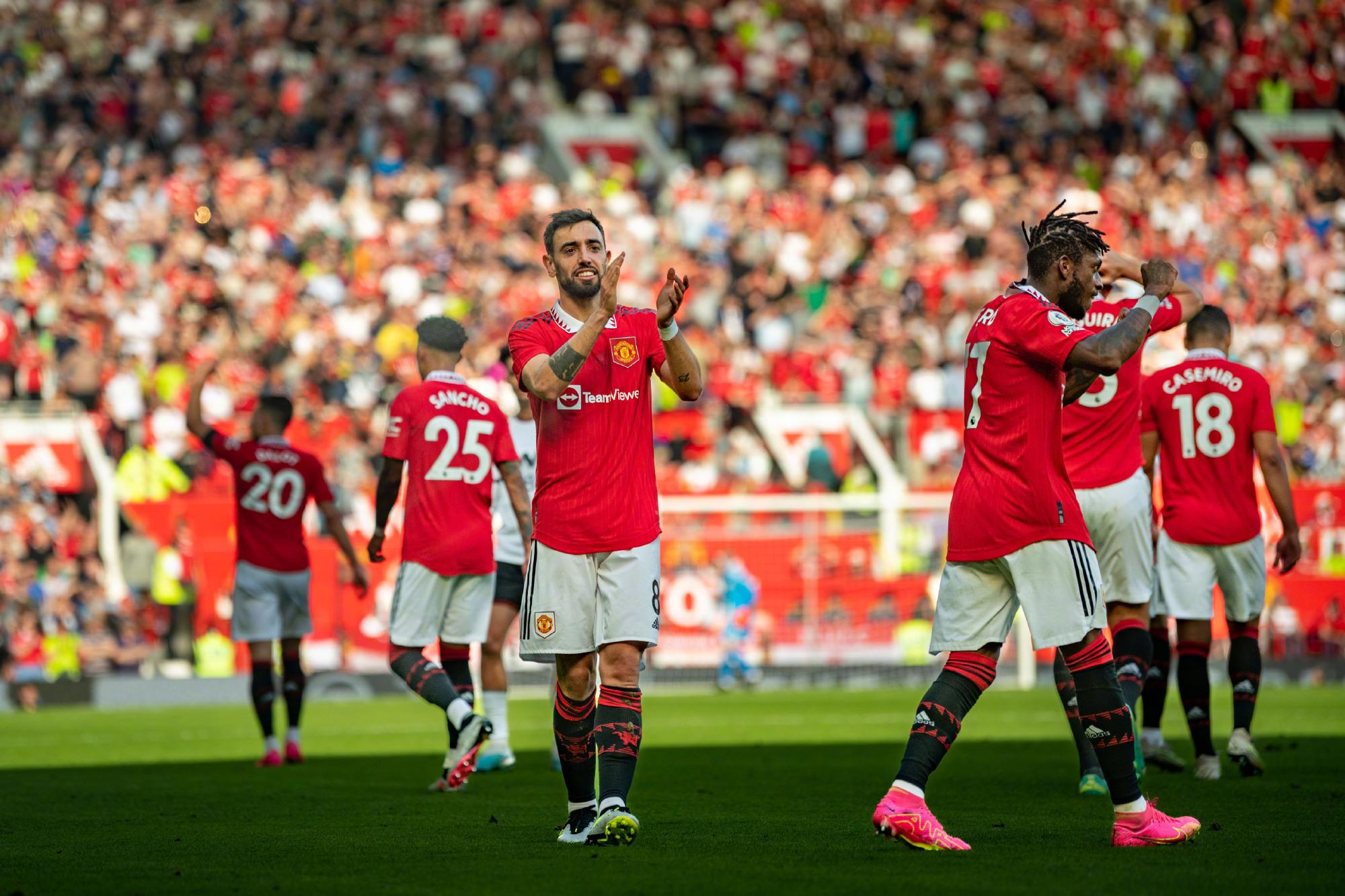 样显示了埃 样显示了埃